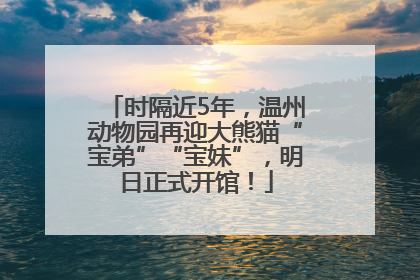时隔近5年，温州动物园再迎大熊猫“宝弟”“宝妹”，明日正式开馆！