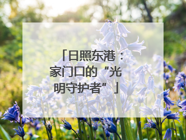 日照东港：家门口的“光明守护者”