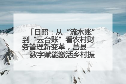 日照：从“流水账”到“云台账”看农村财务管理新变革，莒县——数字赋能激活乡村振兴“一池春水”