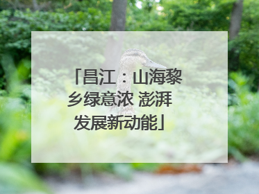 昌江：山海黎乡绿意浓 澎湃发展新动能