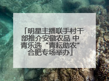 明星主播联手村干部推介安徽农品 中青乐选“青耘助农”合肥专场举办