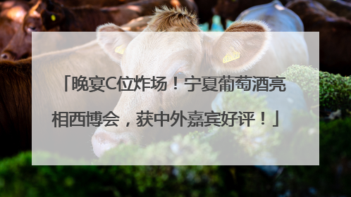 晚宴C位炸场！宁夏葡萄酒亮相西博会，获中外嘉宾好评！