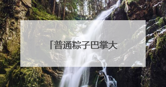 普通粽子巴掌大，“横县大粽”却像个巨无霸！