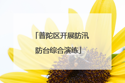 普陀区开展防汛防台综合演练