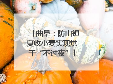 曲阜：防山镇夏收小麦实现烘干“不过夜”