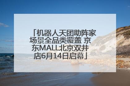 机器人天团助阵家场景全品类覆盖 京东MALL北京双井店6月14日启幕