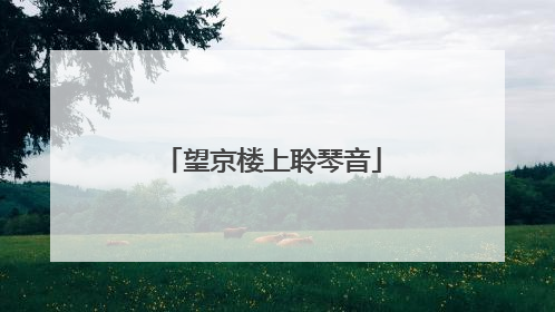 望京楼上聆琴音