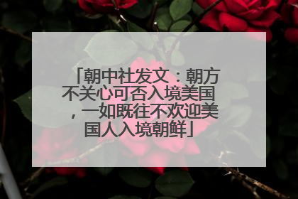 朝中社发文：朝方不关心可否入境美国，一如既往不欢迎美国人入境朝鲜
