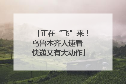 正在“飞”来！乌鲁木齐人速看 快递又有大动作
