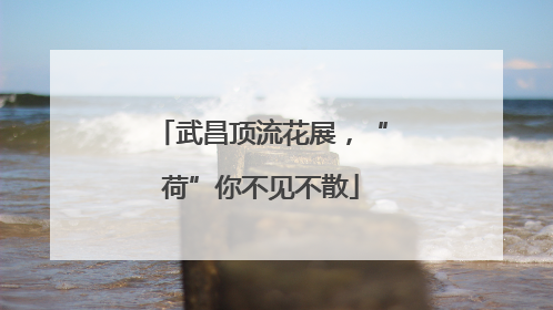 武昌顶流花展，“荷”你不见不散