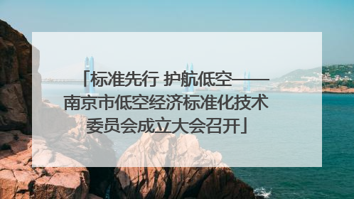 标准先行 护航低空——南京市低空经济标准化技术委员会成立大会召开