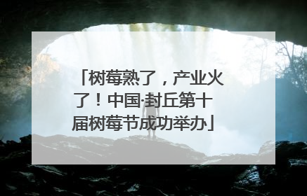 树莓熟了，产业火了！中国·封丘第十届树莓节成功举办