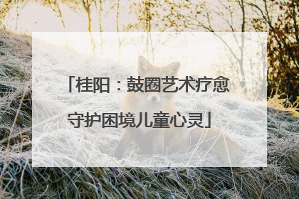 桂阳：鼓圈艺术疗愈守护困境儿童心灵