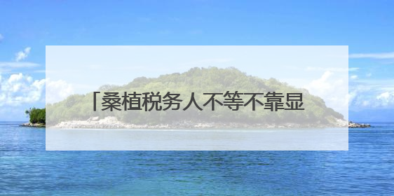 桑植税务人不等不靠显担当 全员捐款助力“6·18”洪灾重建