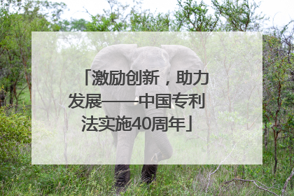 激励创新，助力发展——中国专利法实施40周年