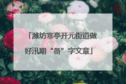 潍坊寒亭开元街道做好汛期“备”字文章