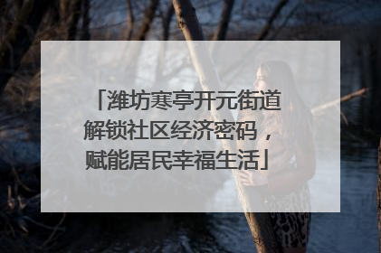 潍坊寒亭开元街道解锁社区经济密码，赋能居民幸福生活