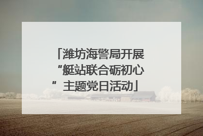 潍坊海警局开展“艇站联合砺初心”主题党日活动