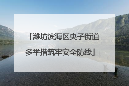 潍坊滨海区央子街道多举措筑牢安全防线