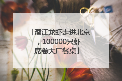 潜江龙虾走进北京，100000只虾席卷大厂餐桌