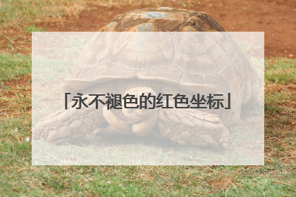 永不褪色的红色坐标
