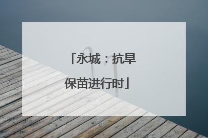 永城：抗旱保苗进行时