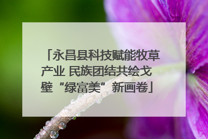 永昌县科技赋能牧草产业 民族团结共绘戈壁“绿富美”新画卷