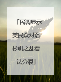 民调显示美民众对洛杉矶之乱看法分裂