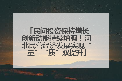 民间投资保持增长 创新动能持续增强！河北民营经济发展实现“量”“质”双提升