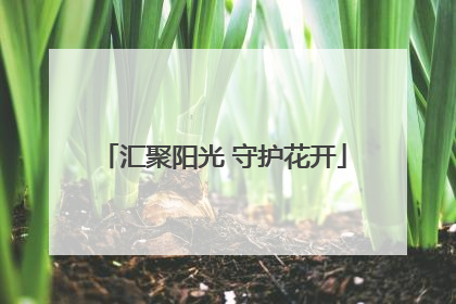 汇聚阳光 守护花开