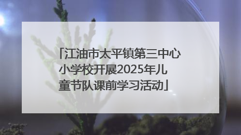 江油市太平镇第三中心小学校开展2025年儿童节队课前学习活动