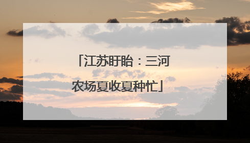 江苏盱眙：三河农场夏收夏种忙