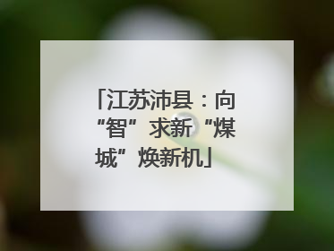 江苏沛县：向“智”求新“煤城”焕新机