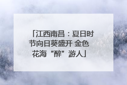 江西南昌：夏日时节向日葵盛开 金色花海“醉”游人