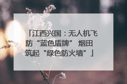 江西兴国：无人机飞防“蓝色盾牌” 烟田筑起“绿色防火墙”