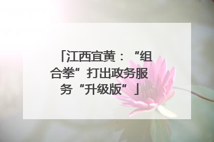 江西宜黄：“组合拳”打出政务服务“升级版”