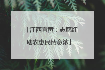 江西宜黄：志愿红助农惠民情意浓