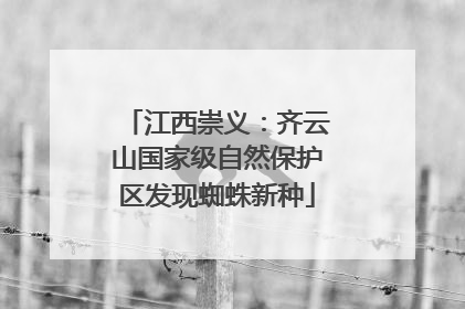 江西崇义：齐云山国家级自然保护区发现蜘蛛新种