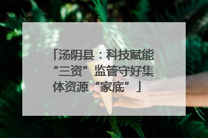 汤阴县：科技赋能“三资”监管守好集体资源“家底”