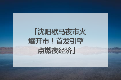 沈阳歇马夜市火爆开市！首发引擎点燃夜经济