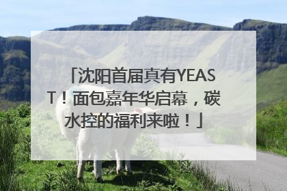 沈阳首届真有YEAST！面包嘉年华启幕，碳水控的福利来啦！