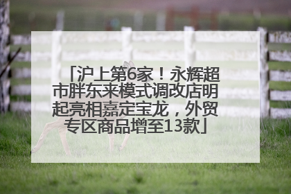沪上第6家！永辉超市胖东来模式调改店明起亮相嘉定宝龙，外贸专区商品增至13款