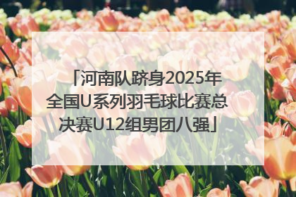 河南队跻身2025年全国U系列羽毛球比赛总决赛U12组男团八强