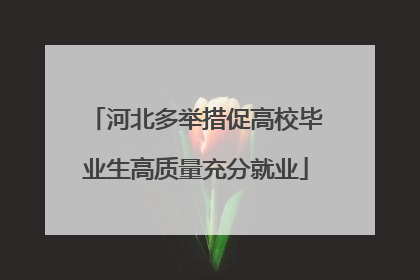 河北多举措促高校毕业生高质量充分就业