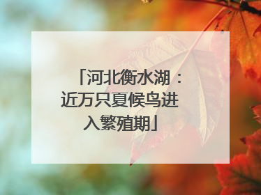 河北衡水湖：近万只夏候鸟进入繁殖期