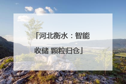 河北衡水：智能收储 颗粒归仓