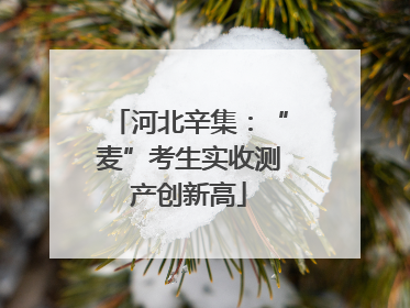 河北辛集：“麦”考生实收测产创新高