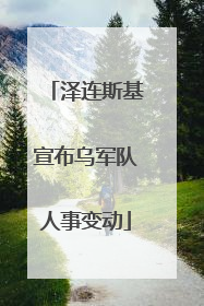 泽连斯基宣布乌军队人事变动