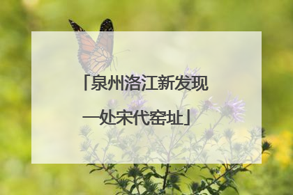 泉州洛江新发现一处宋代窑址