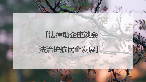 法律助企座谈会 法治护航民企发展